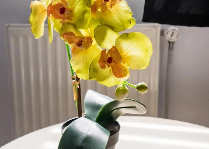 Jacuzzi Jm Wawelofts Apartment