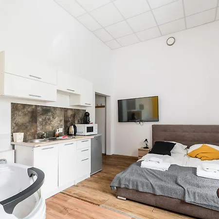 Appartement Jacuzzi Jm Wawelofts