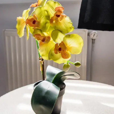 Jacuzzi Jm Wawelofts 아파트